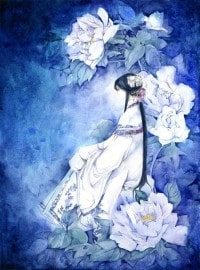 杂灵至尊