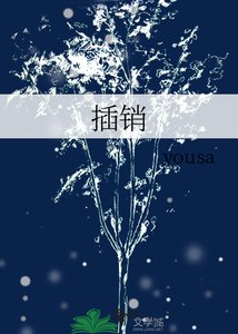 《插销》