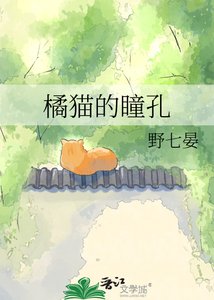 《橘猫的瞳孔》